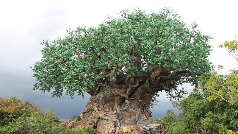 Arbre représentatif du parc de Disney's Animal Kingdom