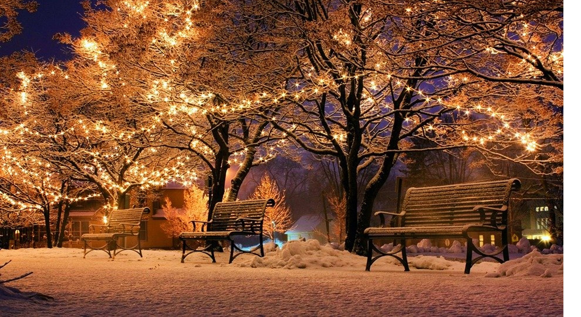 Paysage hivernal où des lumières rappellant Noël sont installées.
