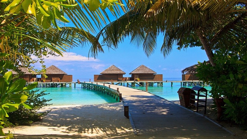 Paysage des Maldives avec palmiers et maisons sur l'eau